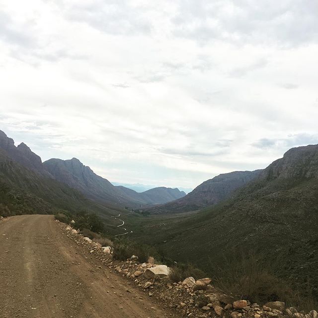 12599183_236427070079095_708328059_n