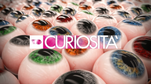 CURIOSITA
