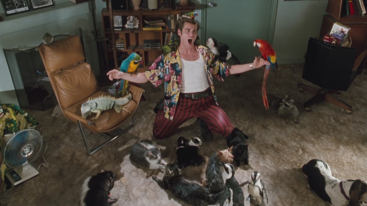 ace ventura 3 sviluppo