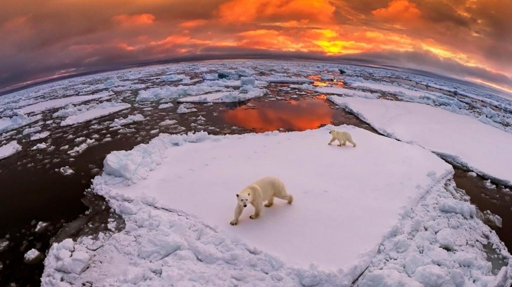 libri cambiamento climatico