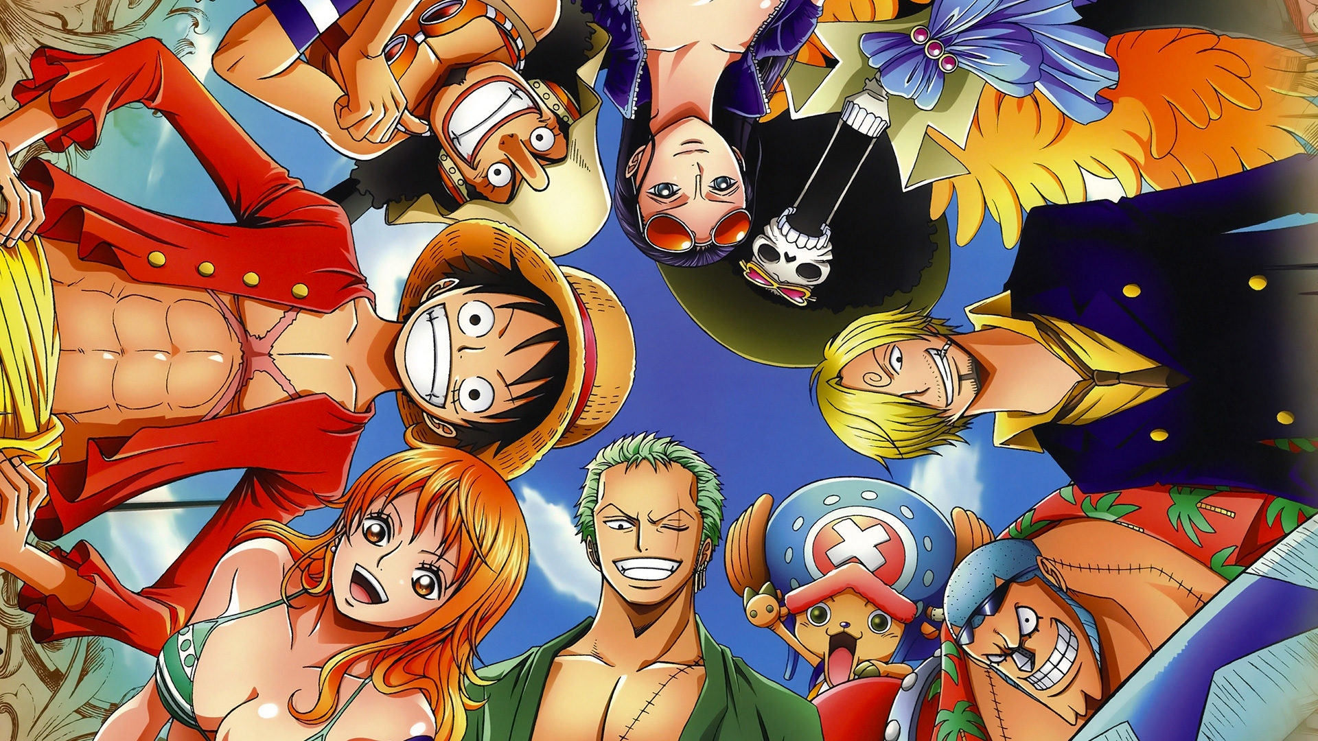 One piece mugiwara unidici