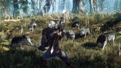The-Witcher-3-Wild-Hunt_2013_06-25-13_001