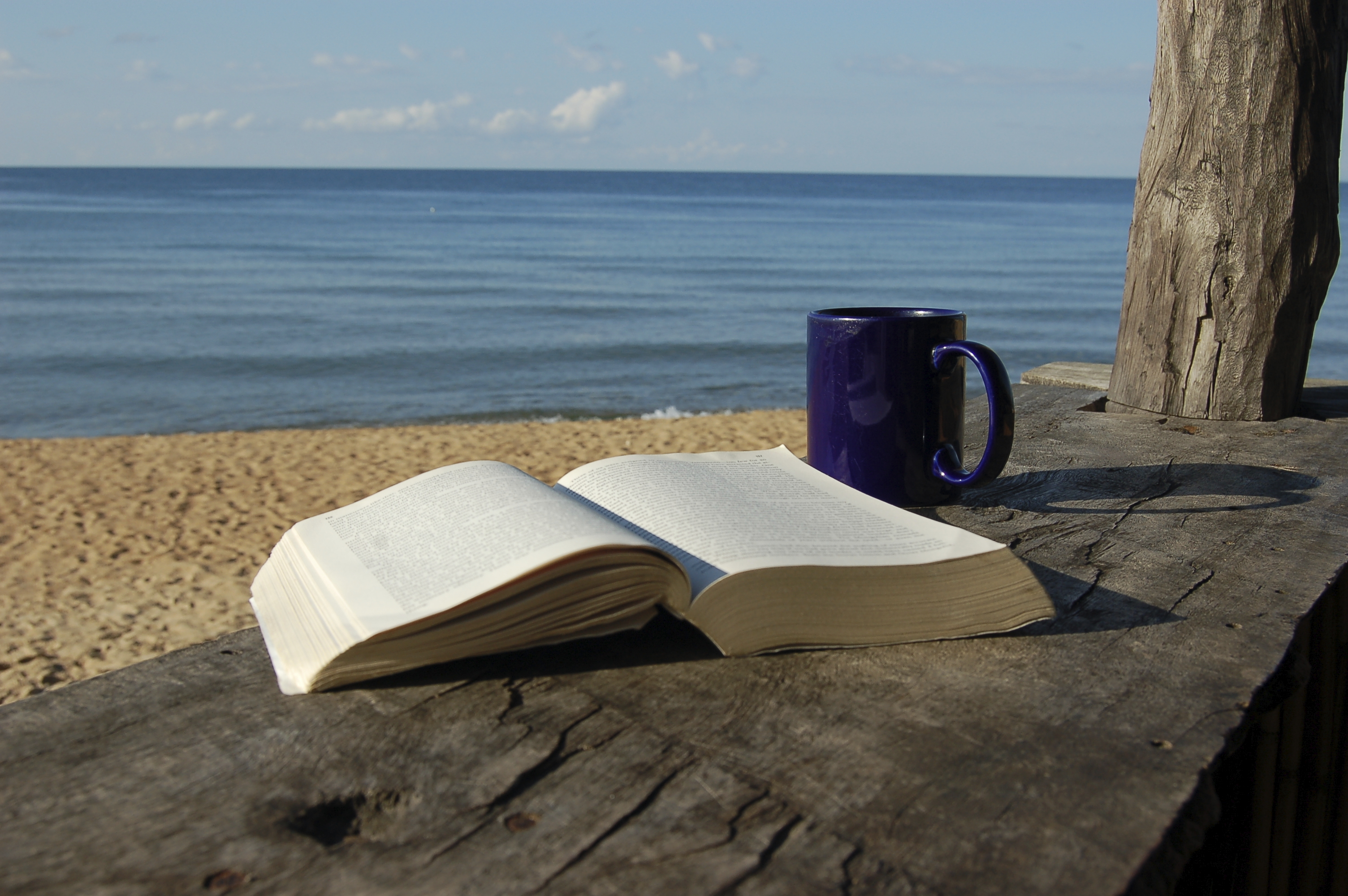 Читать берега жизни. Книга море. Лето с книжкой. Летние путешествия с книгами. Чтение на пляже.