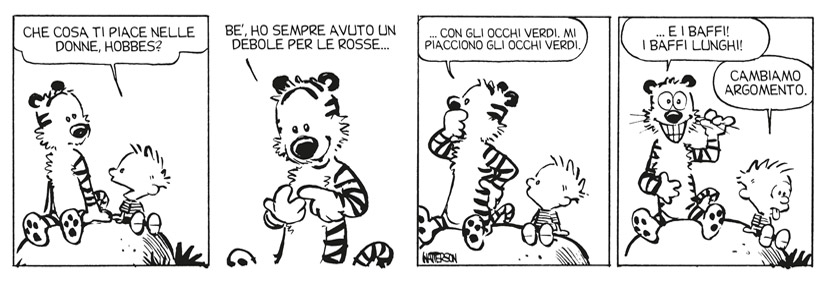 calvin & hobbes