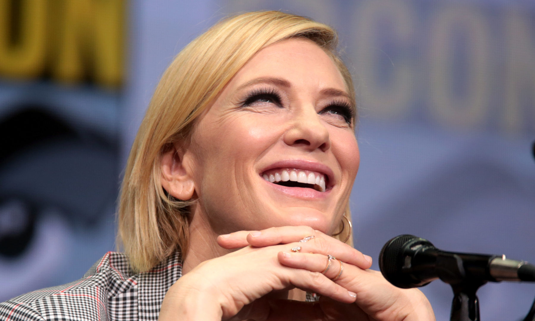 cate blanchett borderlands film