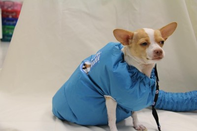 cose assurde da comprare online