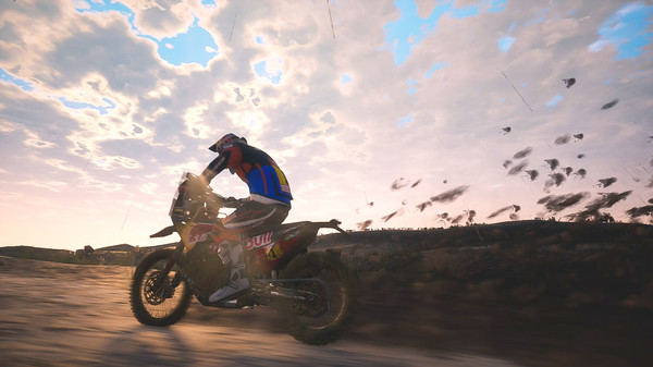 dakar 18 bis
