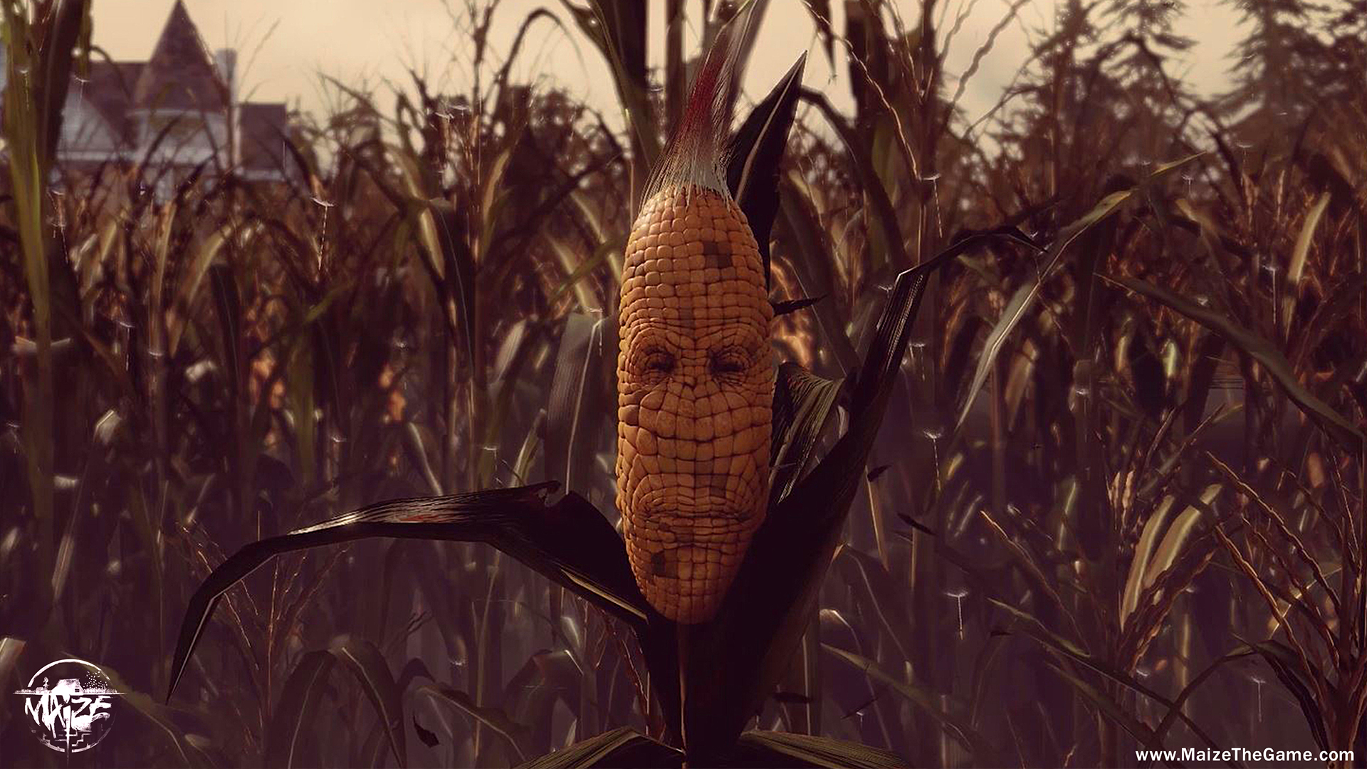 maize 3