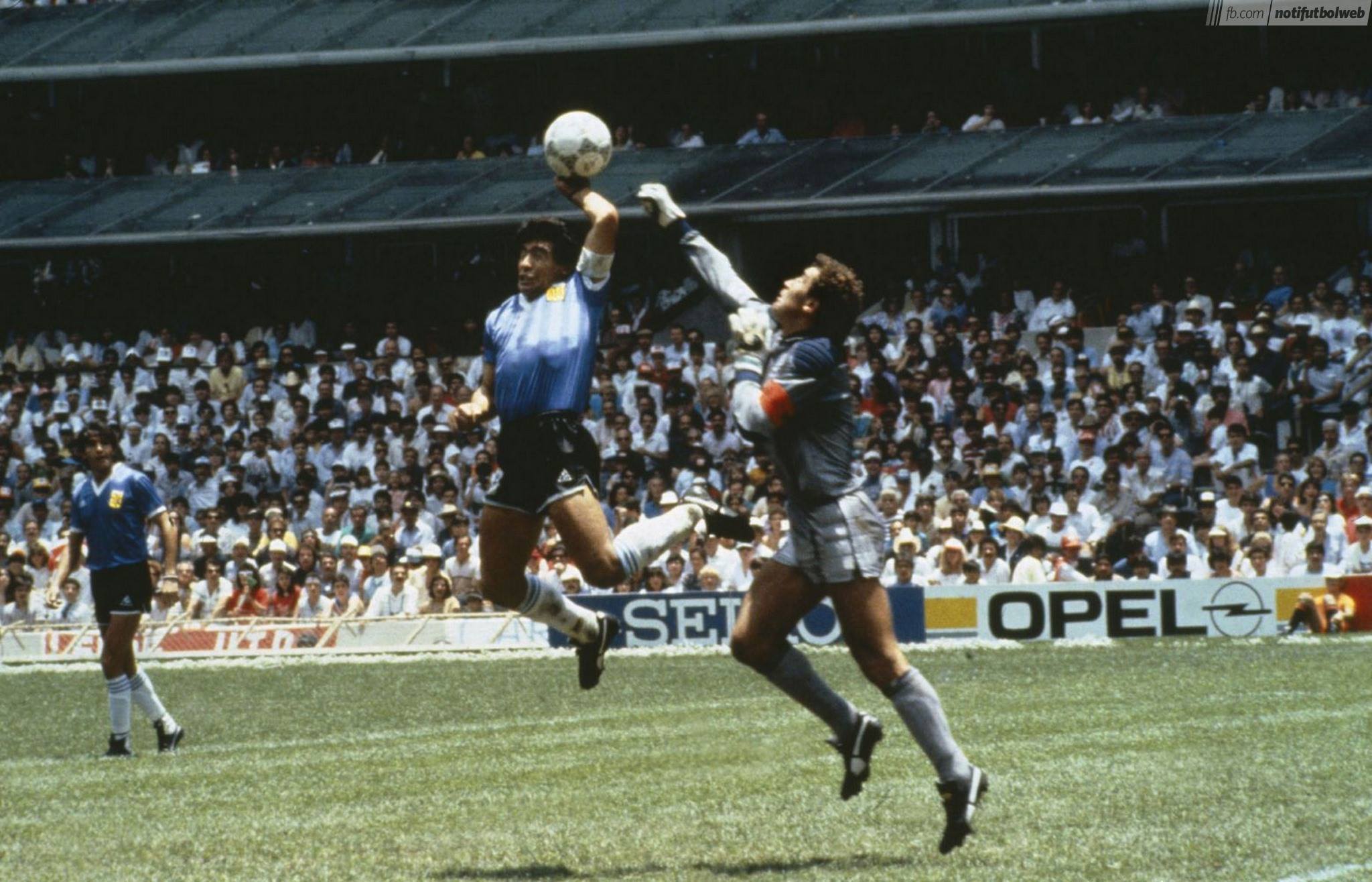 paolo sorrentino maradona