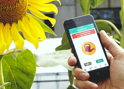 parrot_flower_power_2-580x419