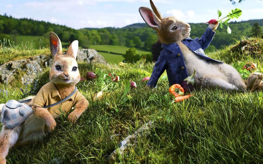 peter rabbit recensione