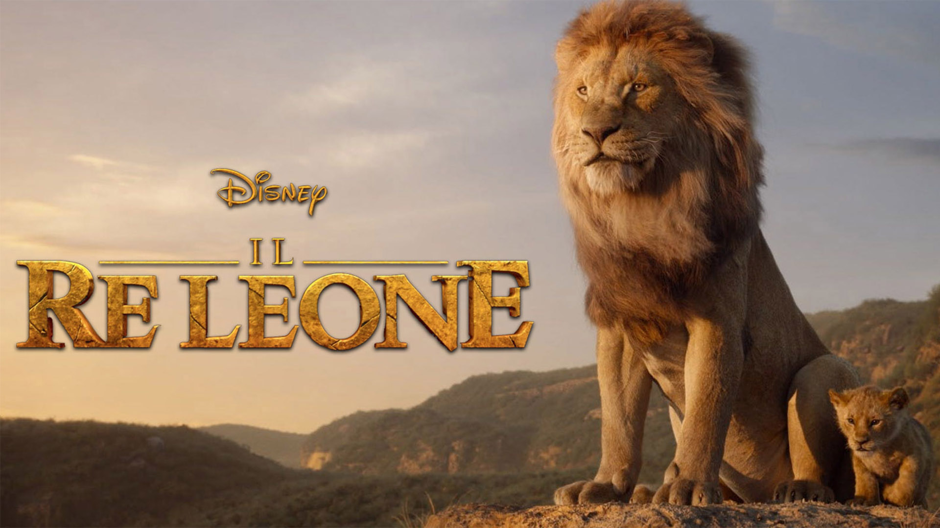 Hansa лев, 120 см. Hansa лев, 120 см. Hansa лев, 120 см. король лев circle of life. детские книги о львах.