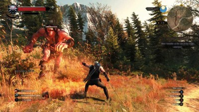 the_witcher_3_wild_hunt_review_screens_6