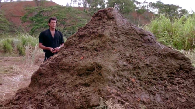 tumblr_lbjlo0Retv1qedl16o1_500