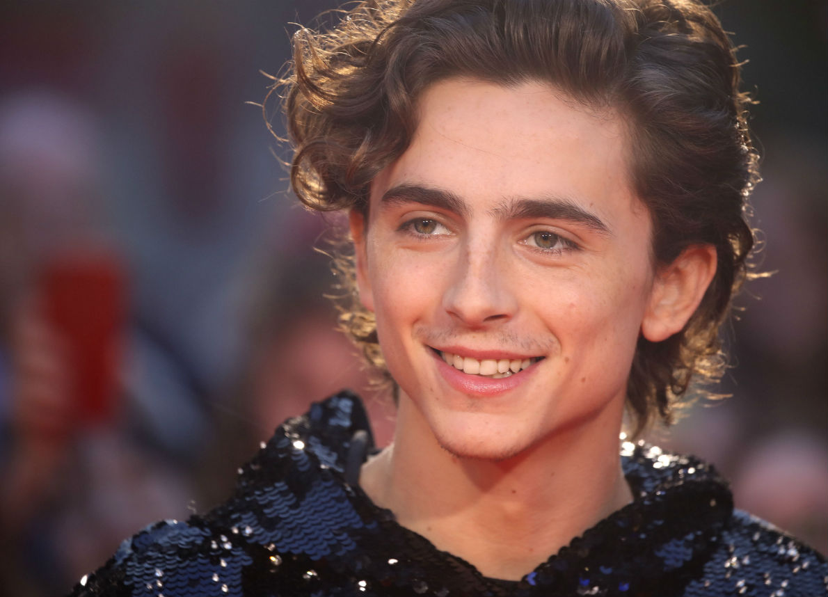 wes anderson nuovo film